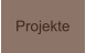 Projekte